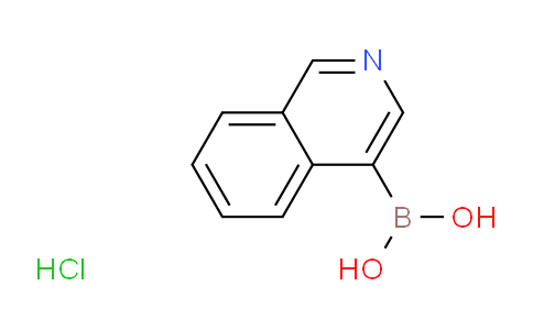 SC122986 | 677702-23-7 | 异喹啉-4-硼酸盐酸盐