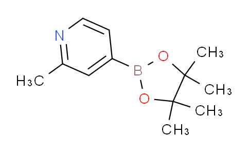 SC123004 | 660867-80-1 | 2-甲基-4-吡啶硼酸频呐醇酯