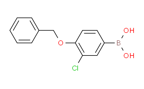 SC123067 | 845551-44-2 | [4-(Benzyloxy)-3-chlorophenyl]boronic acid