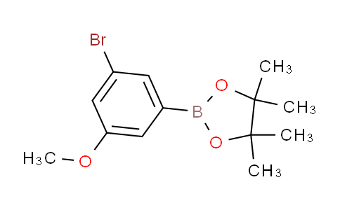 SC123069 | 401797-04-4 | 3-溴-5-甲氧基苯基硼酸频呐醇酯