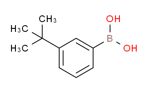 SC123183 | 560132-24-3 | (3-Tert-butylphenyl)boronic acid