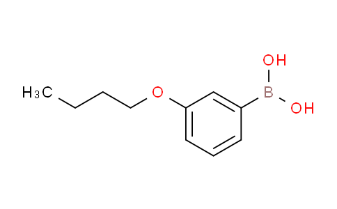 SC123184 | 352534-81-7 | 3-丁氧基苯硼酸