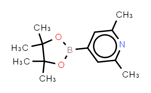 2,6-DIMETHYLPYRIDINE-4-BORONIC ACID, PINACOL ESTER