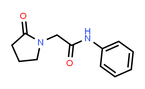 2-(2-oxopyrrolidin-1-yl)-N-phenylacetaMide