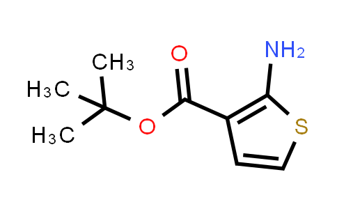 2-氨基噻吩-3-甲酸叔丁酯