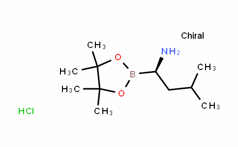 (R)-3-methyl-1-(4,4,5,5-tetramethyl-1,3,2-dioxaborolan-2-yl)butan-1-amine hydrochloride