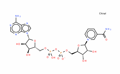 β-二磷吡啶核苷酸