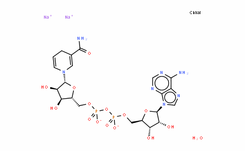 β-烟酰胺腺嘌呤二核苷酸二钠盐水合物,还原型[生物化学用]