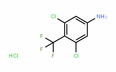 3,5-Dichloro-4-(trifluoromethyl)benzenamine hydrochloride