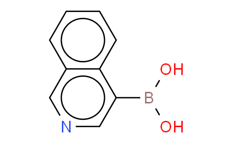 4-异喹啉硼酸