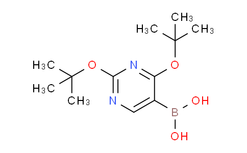 2,4-Di-tert-butoxypyrimidine-5-boronic acid