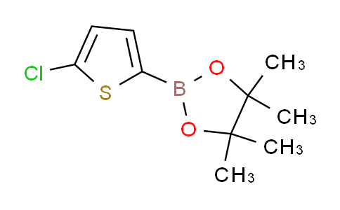 2-(5-chlorothiophen-2-yl)-4,4,5,5-tetramethyl-1,3,2-dioxaborolane