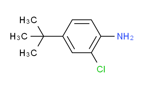 4-叔丁基-2-氯苯胺