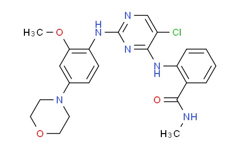 TAE226 (NVP-TAE226)