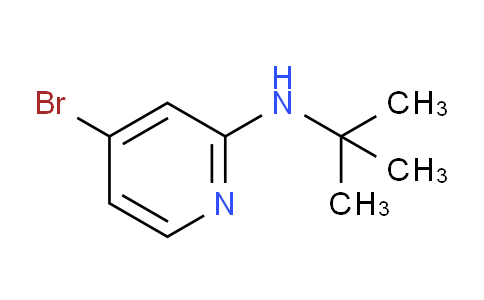 SL10501 | 1256819-02-9 | 4-溴-2-(N-叔丁氨基)吡啶