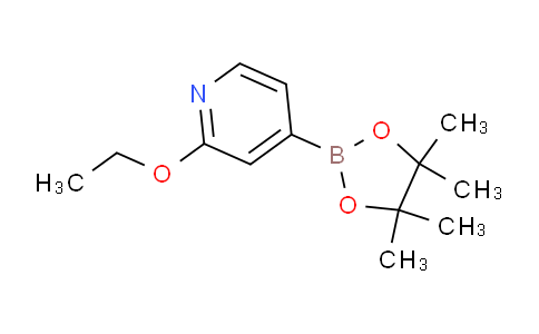 SL10869 | 957346-47-3 | 2-乙氧基-4-(4,4,5,5-四甲基-1,3,2-二氧杂环戊硼烷-2-基)吡啶
