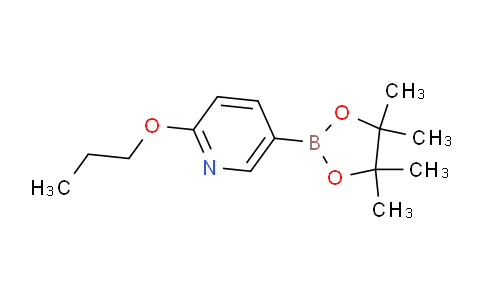 SL11272 | 1257553-85-7 | 2-正丙基-5-吡啶硼酸酯