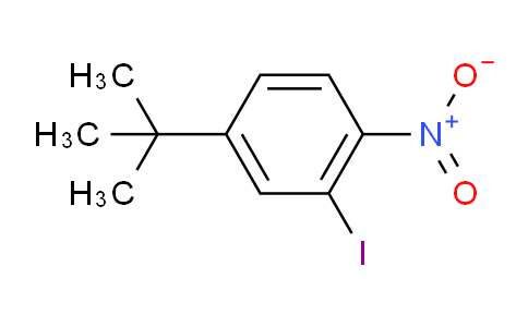 SL11750 | 942204-75-3 | 4-(1,1-二甲基乙基)-2-碘-1-硝基苯