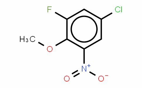 98404-03-6 | 5-Chloro-3-fluoro-2-methoxynitrobenzene[4-Chloro-2-fluoro-5-nitroanisole]