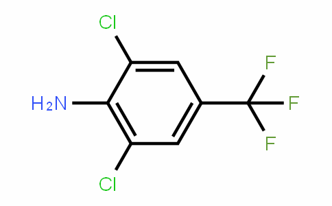 24279-39-8 | 4-Amino-3,5-dichlorobenzotrifluoride