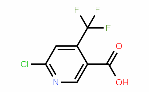 261635-77-2 | 6-Chloro-4-(trifluoromethyl)nicotinic acid