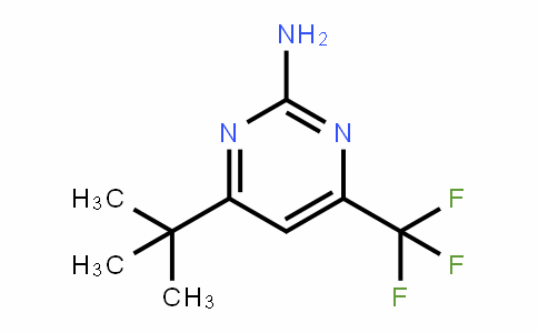 238742-83-1 | 2-Amino-4-(tert-butyl)-6-(trifluoromethyl)pyrimidine