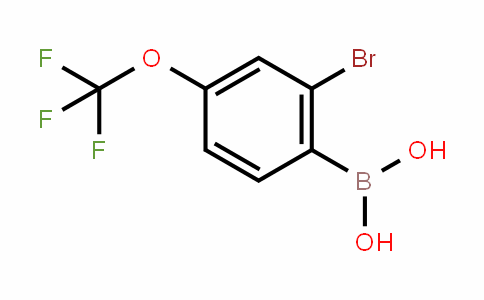 959997-86-5 | 2-Bromo-4-(trifluoromethoxy)benzeneboronic acid