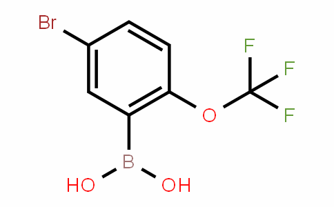 1072951-56-4 | 5-Bromo-2-(trifluoromethoxy)benzeneboronic acid