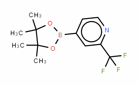 1036990-42-7 | 2-(Trifluoromethyl)pyridine-4-boronic acid, pinacol ester