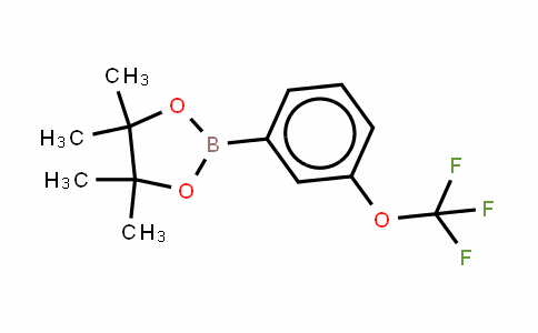 262376-31-8 | 3-(Trifluoromethoxy)benzeneboronic acid, pinacol ester