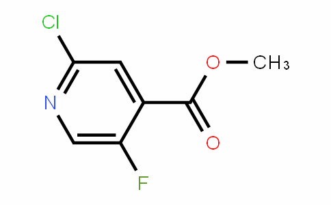 876919-10-7 | 2-氯-5-氟异烟酸甲酯