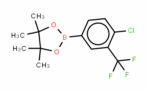 445303-09-3 | 4-Chloro-3-(trifluoromethyl)benzeneboronic acid, pinacol ester