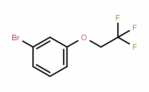 888327-41-1 | 1-Bromo-3-(2,2,2-trifluoroethoxy)benzene