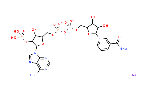 beta-Nicotinamide adenine dinucleotide phosphate sodium salt