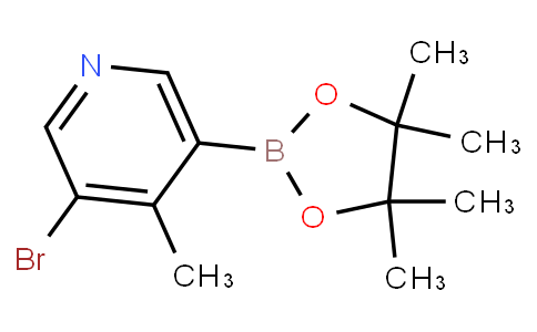 3-Bromo-4-methylpyridine-5-boronic acid pinacol ester