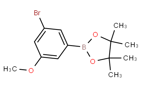 HB10998 | 401797-04-4 | 3-Bromo-5-methoxyphenylboronic acid pinacol ester