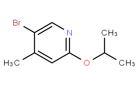 HB11494 | 1239611-37-0 | 5-Bromo-2-isopropoxy-4-methylpyridine