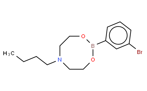 HB11625 | 1257641-31-8 | 3-Bromophenylboronic acid N-butyldiethanolamine ester
