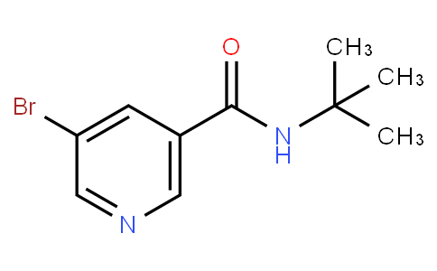 HB12051 | 342013-78-9 | 5-Bromo-N-tert-butylnicotinamide