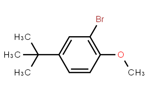 HB12556 | 41280-65-3 | 2-Bromo-4-tert-butylanisole