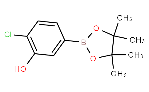 HC11002 | 1443151-85-6 | 4-Chloro-3-hydroxyphenylboronic acid pinacol ester