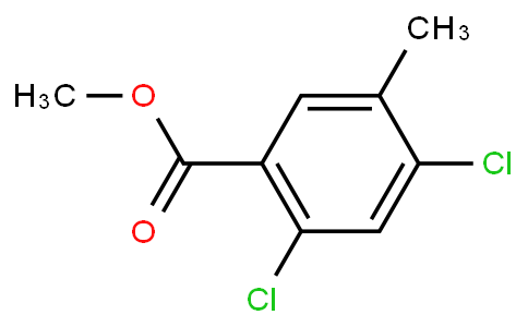 HC11141 | 1803805-37-9 | 2,4-Dichloro-5-methylbenzoic acid methyl ester