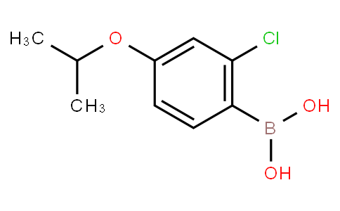 HC11742 | 313545-47-0 | 2-Chloro-4-isopropoxyphenylboronic acid