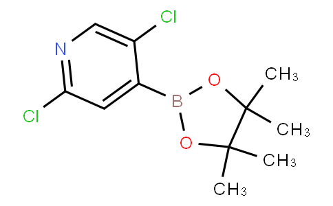 HC12046 | 1073353-98-6 | 2,5-Dichloropyridine-4-boronic acid pinacol ester