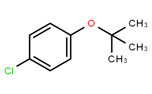 HC12417 | 18995-35-2 | 4-Chloro-1-tert-butoxybenzene