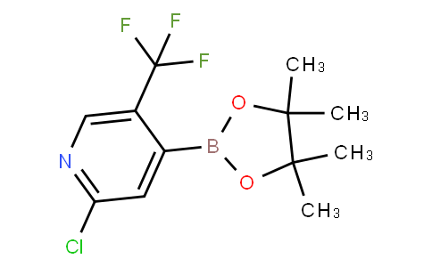 HF11426 | 2121515-21-5 | 2-Chloro-5-(trifluoromethyl)pyridine-4-boronic acid pinacol ester