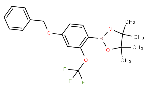 HF11977 | 2121511-68-8 | 4-Benzyloxy-2-(trifluoromethoxy)phenylboronic acid pinacol ester