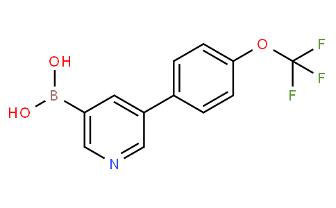 HF12218 | 2121514-15-4 | 3-[4-(Trifluoromethoxy)phenyl]-pyridine-5-boronic acid