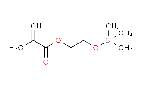 HS10300 | 17407-09-9 | METHACRYLOXYETHOXYTRIMETHYLSILANE