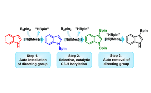 Ni-Catalyzed Traceless, Directed C3-Selective C–H Borylation of Indoles